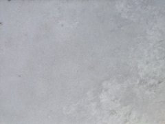 山東雪花白